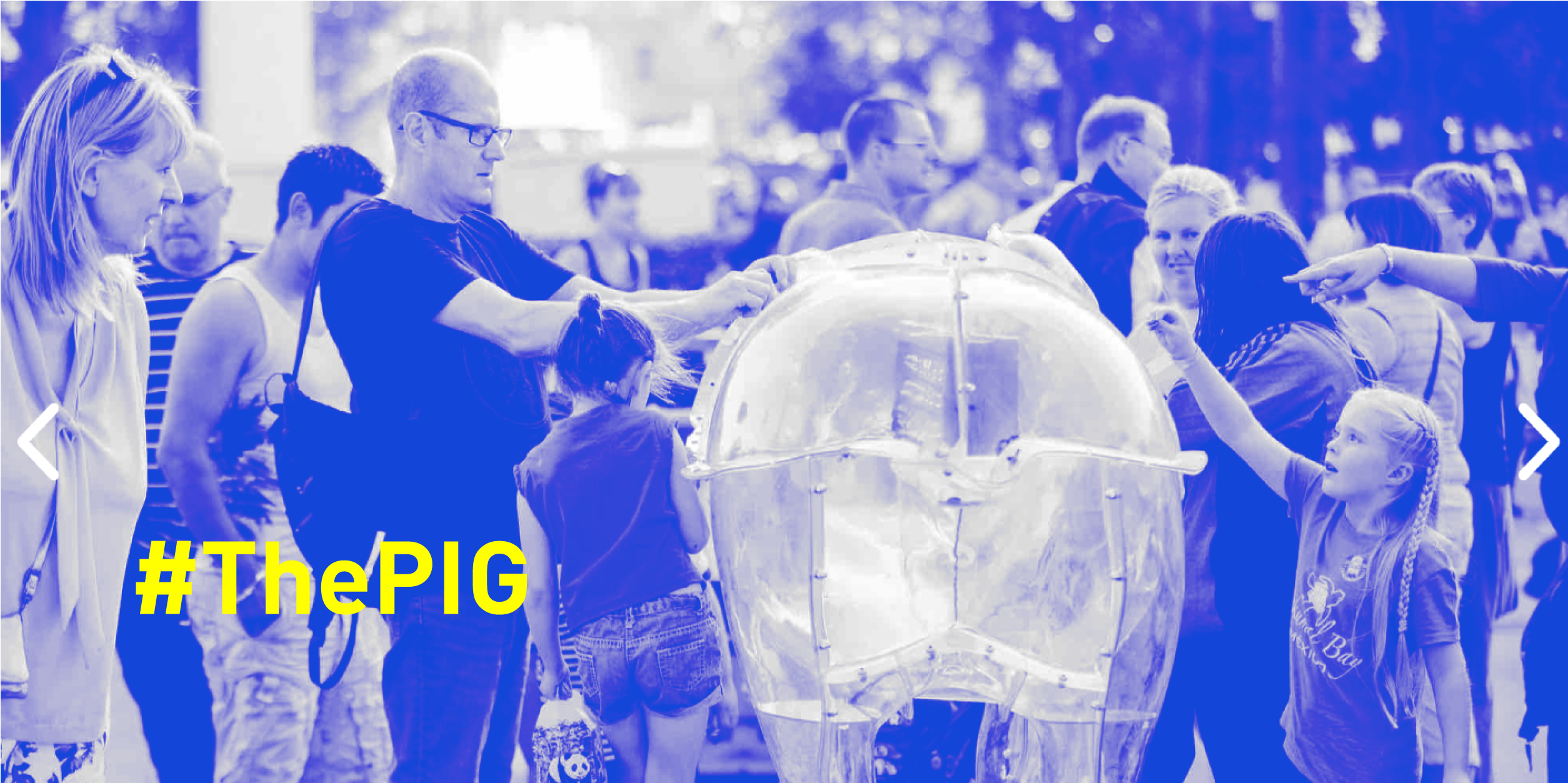 #ThePIG initiative