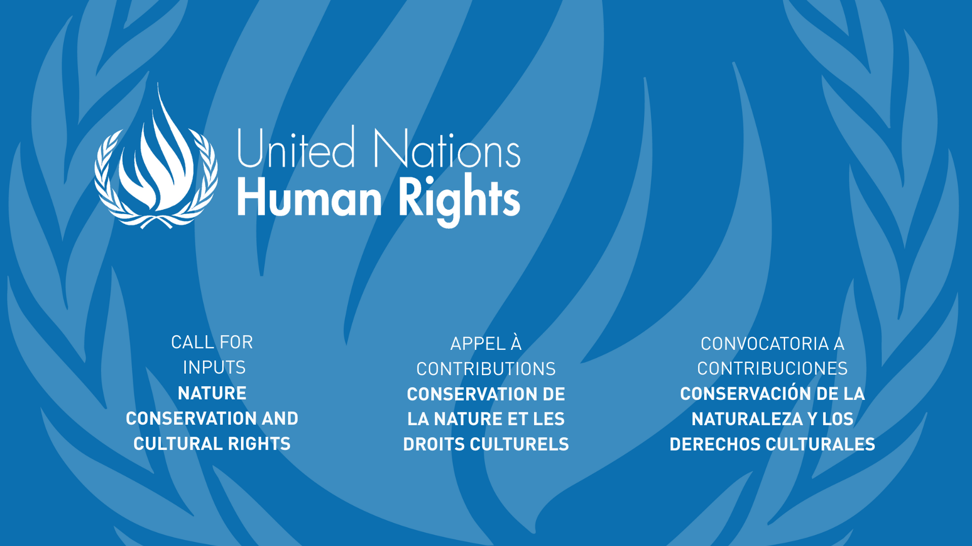 UNSRCR CALL FOR INPUTS - NATURE AND CULTURAL RIGHTS