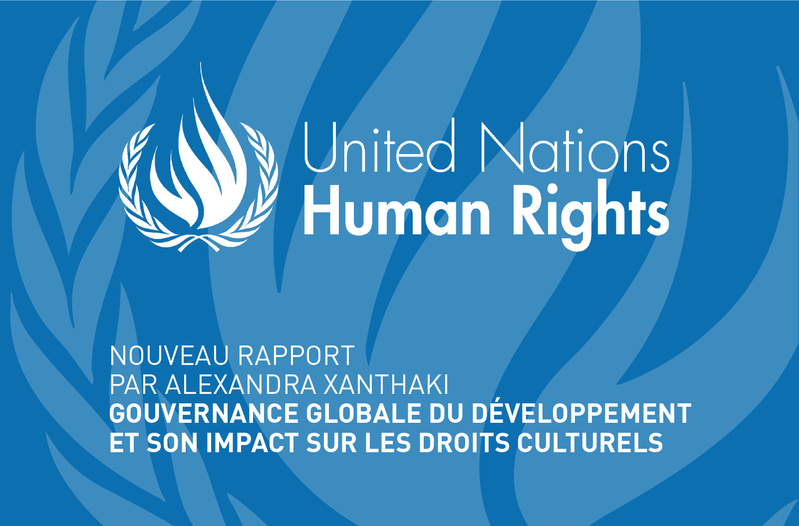 Appel à contribution sur la gouvernance globale du développement et son impact sur les droits culturels