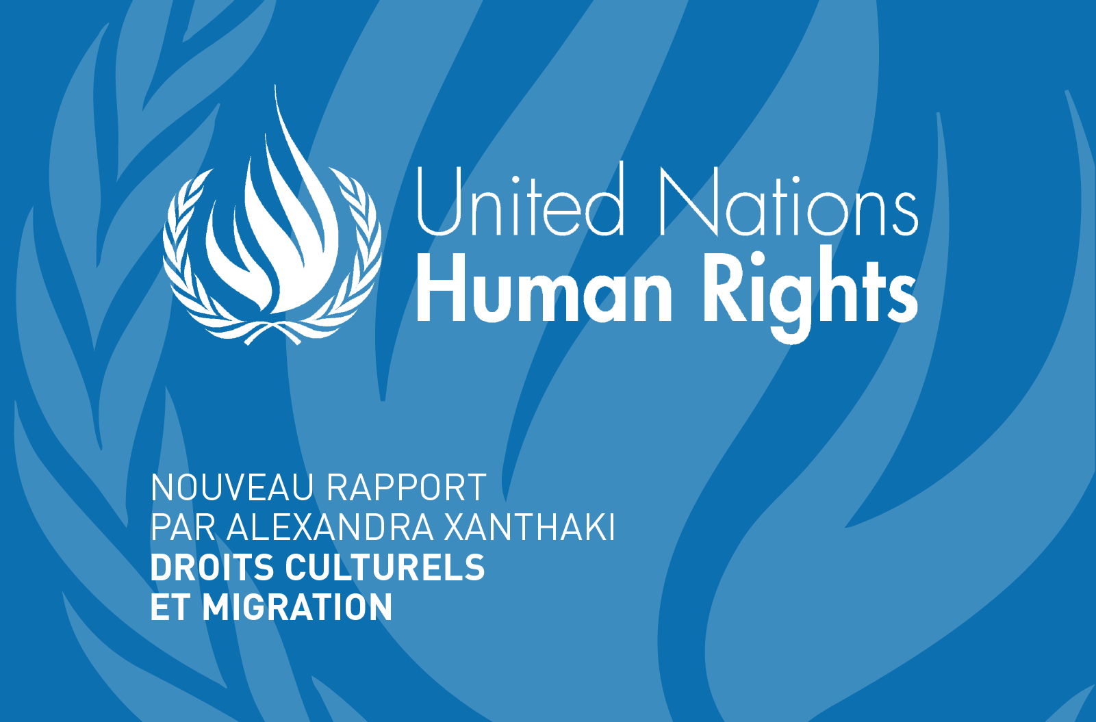 Nouveau rapport sur les Droits Culturels et Migration