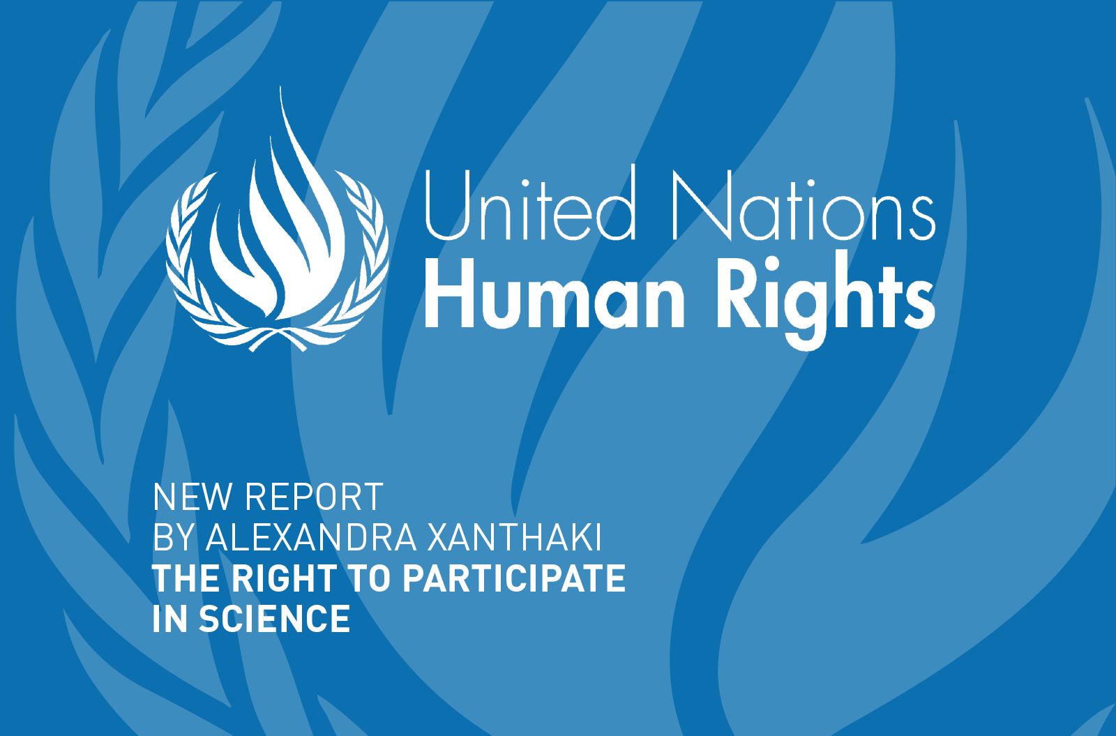 New report by the UNSRCR