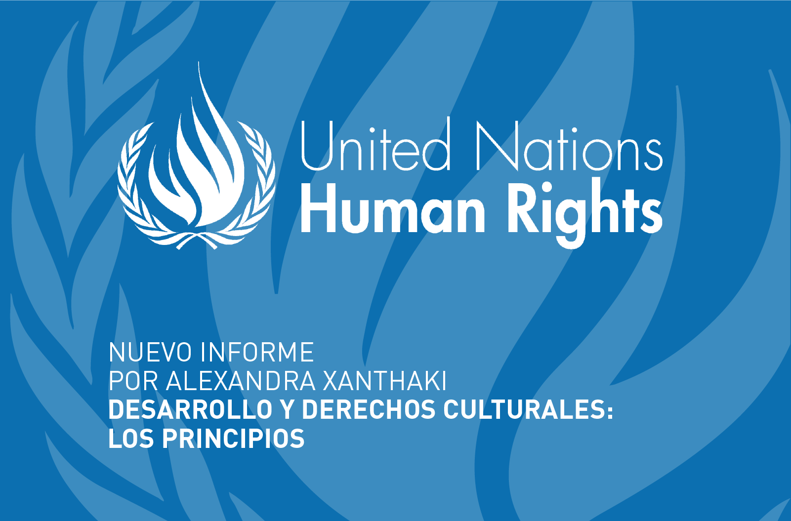 Nuevo informe sobre derechos culturales y desarrollo