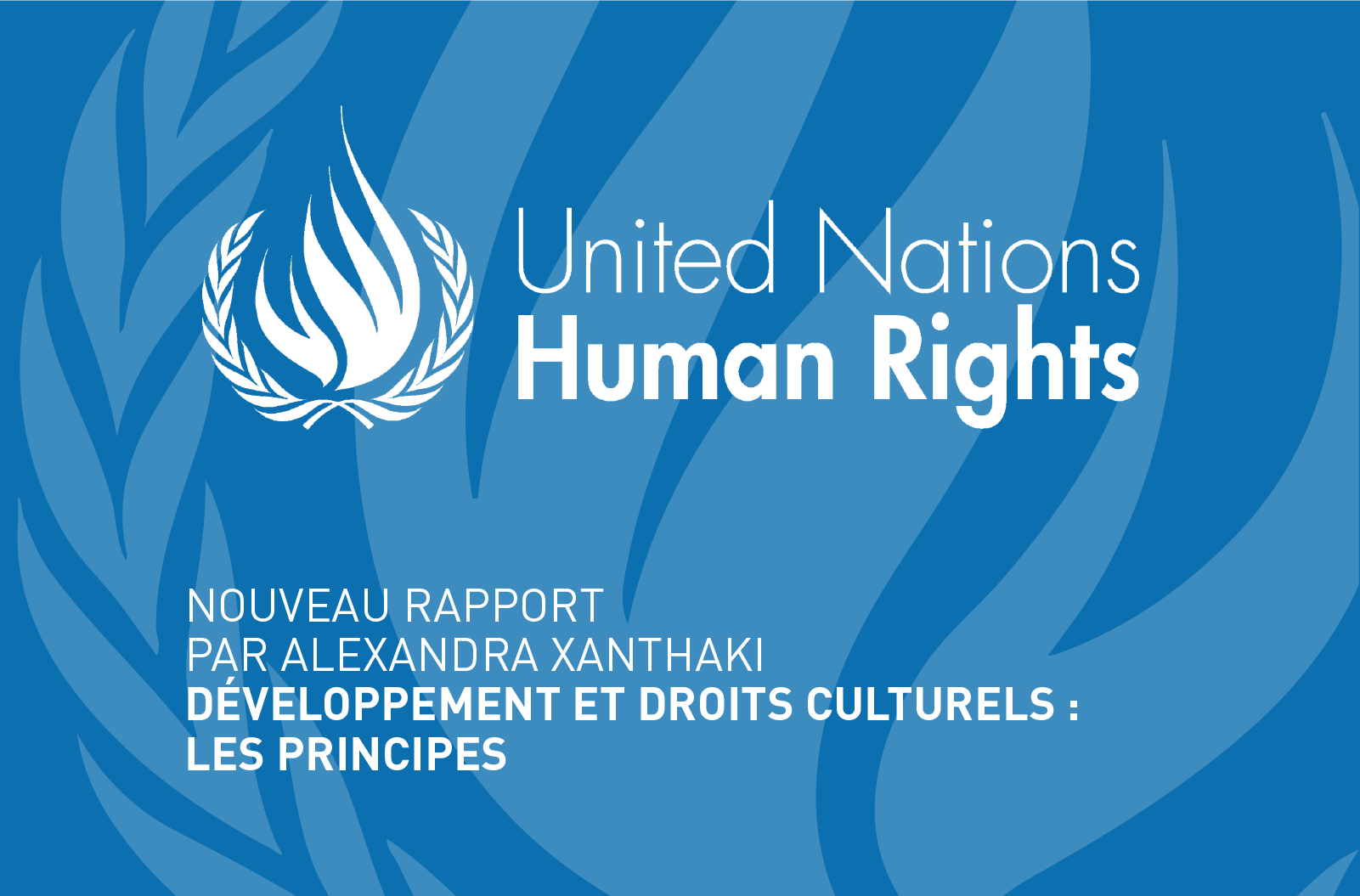 Nouveau rapport sur les droits culturels et le développement
