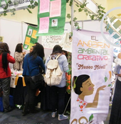 Imagination in Motion: Cultural businesses and entreprises project