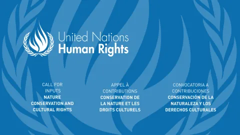 UNSRCR CALL FOR INPUTS - NATURE AND CULTURAL RIGHTS