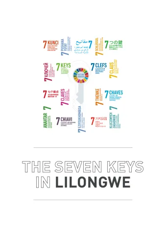 7_keys_lilongwe_report_en__en.pdf