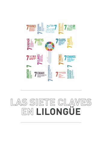 7_keys_lilongwe_report_es__es.pdf