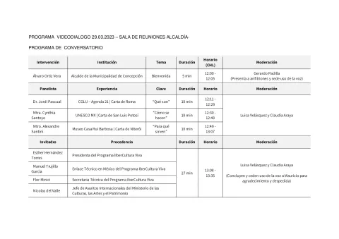 programa_videodialogo_29_2__en.pdf