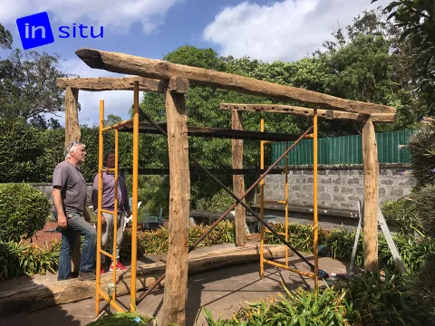 Lanzamiento IN SITU