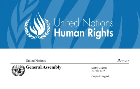 New report from the UN Special Rapporteur on Cultural Rights