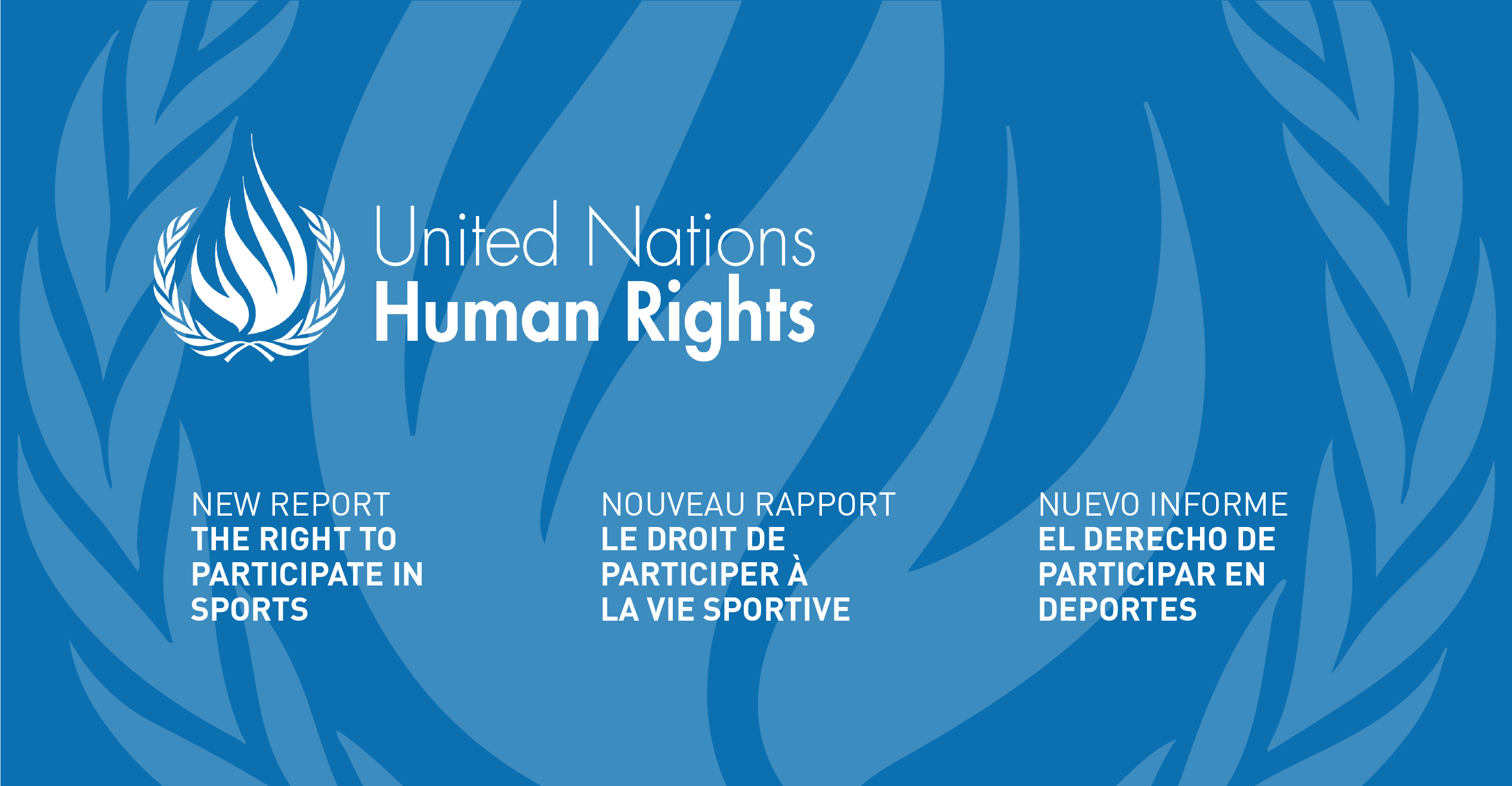 Nuevo informe de la UNSRCR
